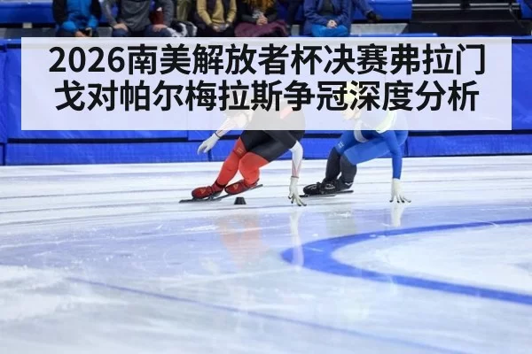 2026南美解放者杯决赛弗拉门戈对帕尔梅拉斯争冠深度分析